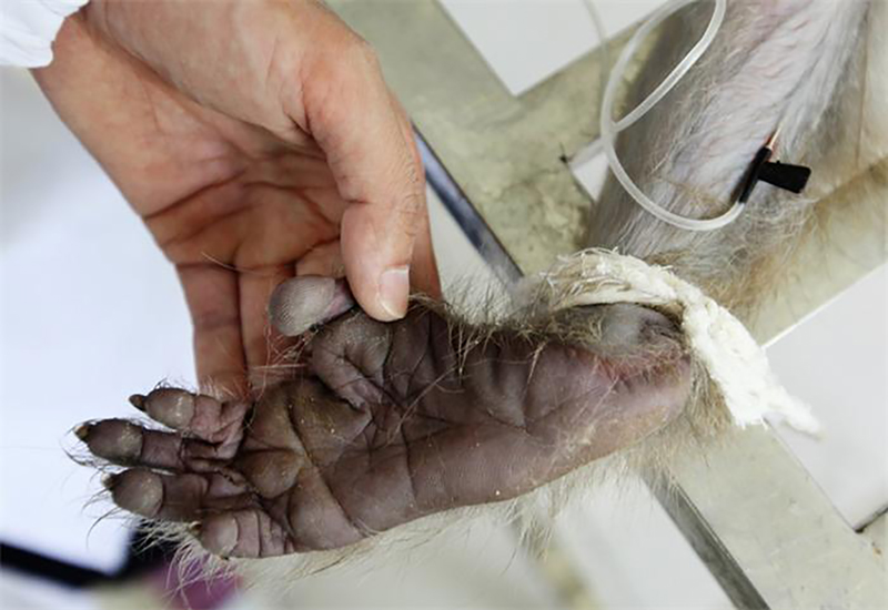 由世界摄影组织主办的唯一摄影比赛,旨在为各国摄影师提供更好的展示