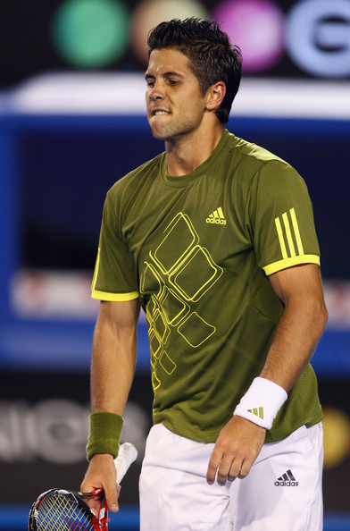 fernando verdasco carmona