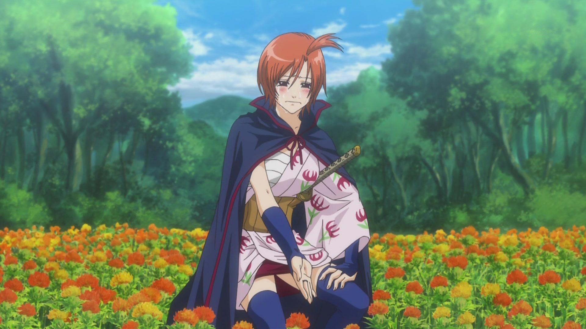 平子(どろみず ひらこ),日本漫画《 a data-lemmaid="27263">银魂 /a>