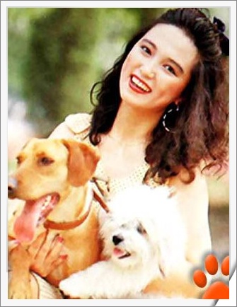  p>高宝宝,1964年1月11日出生于吉林省长春市,籍贯北京,中国内地女