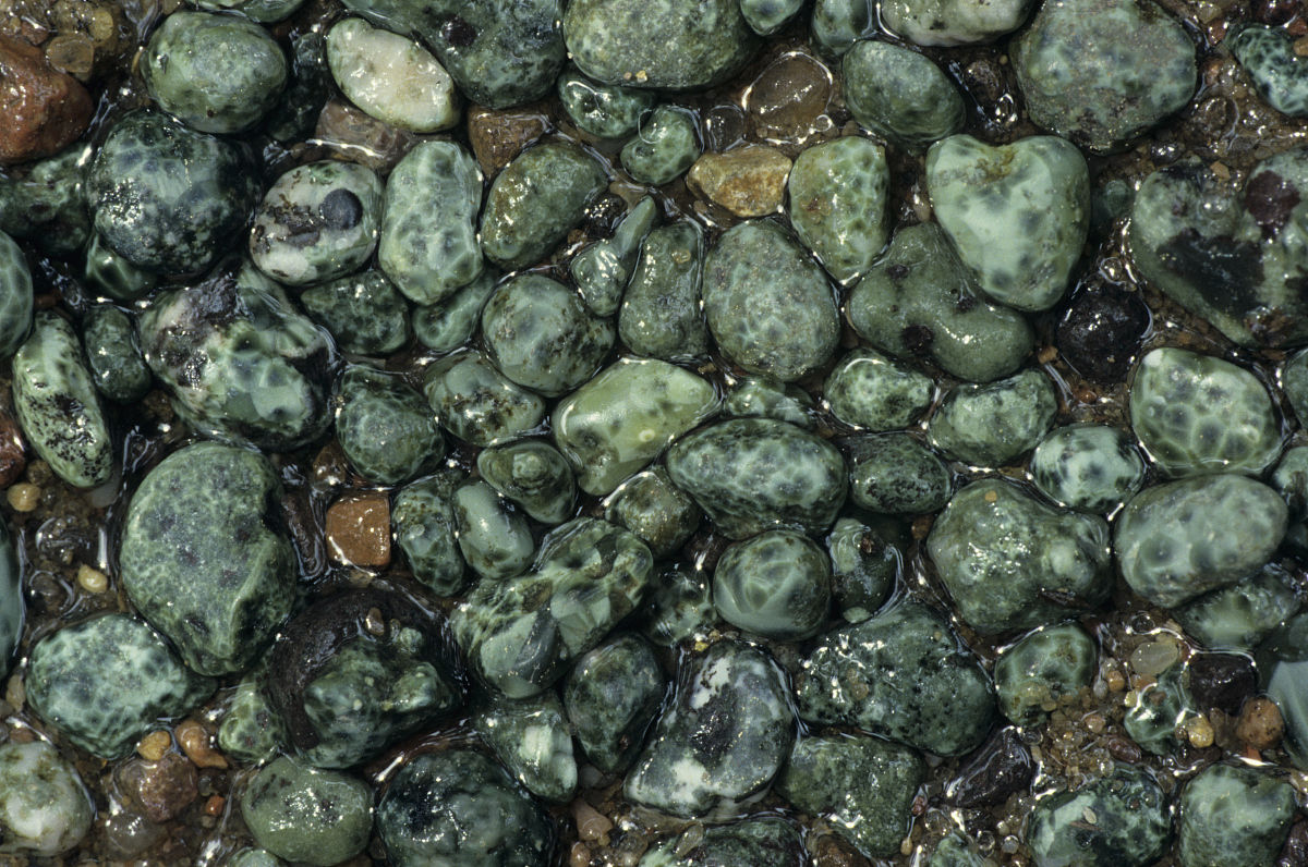  p>绿纤石是一种含水的钙 a href="#" data-lemmaid="8977264">镁铝