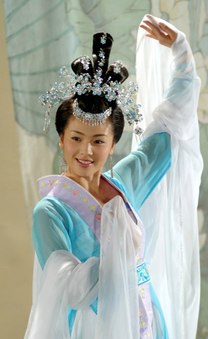 中央电视台大剧《女人花》