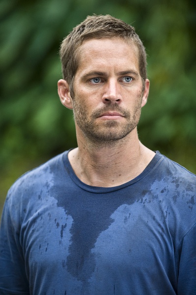  a target="_blank" href="/item/范·迪塞尔/3620364" data-lemmaid=