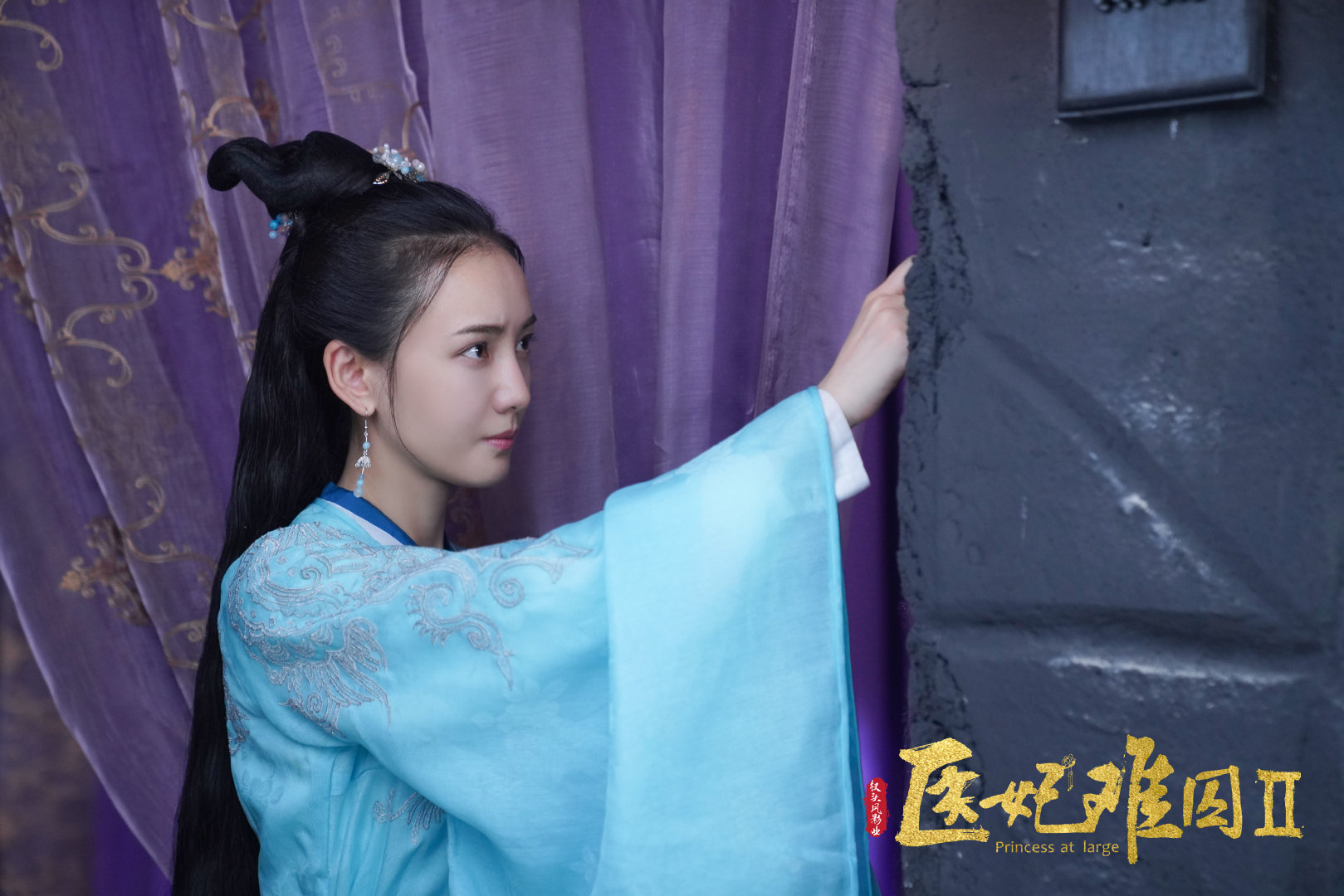 医妃难囚第二季