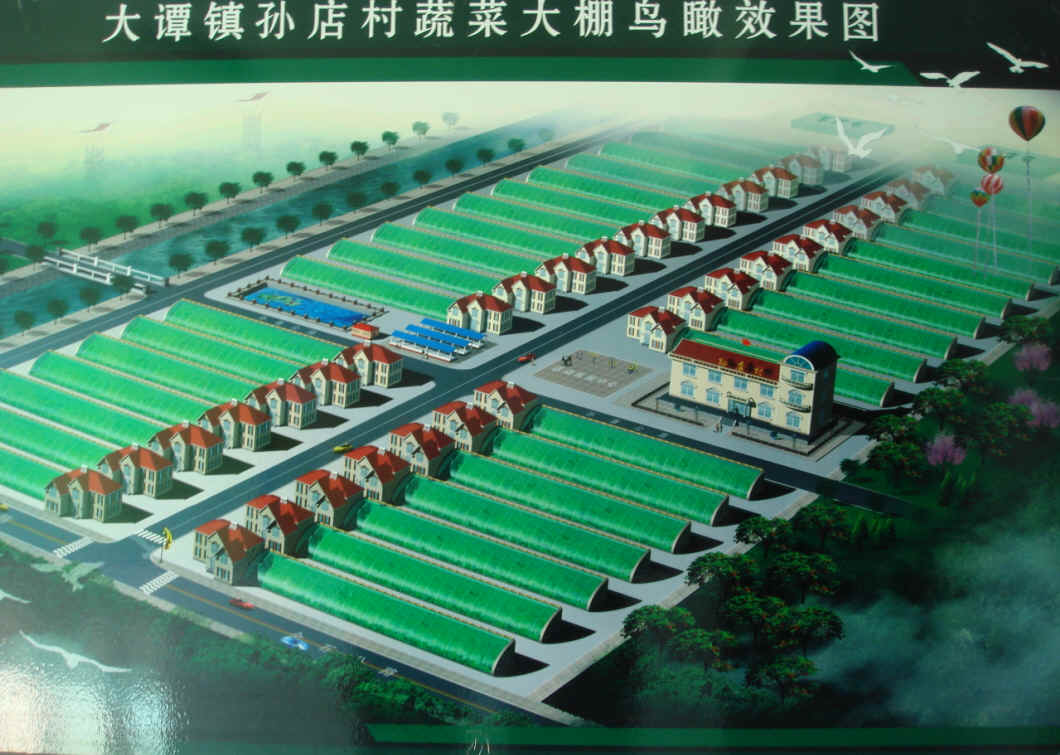  p data-id="gnsz7ng9w0">寿光市, a target="_blank" href="/item