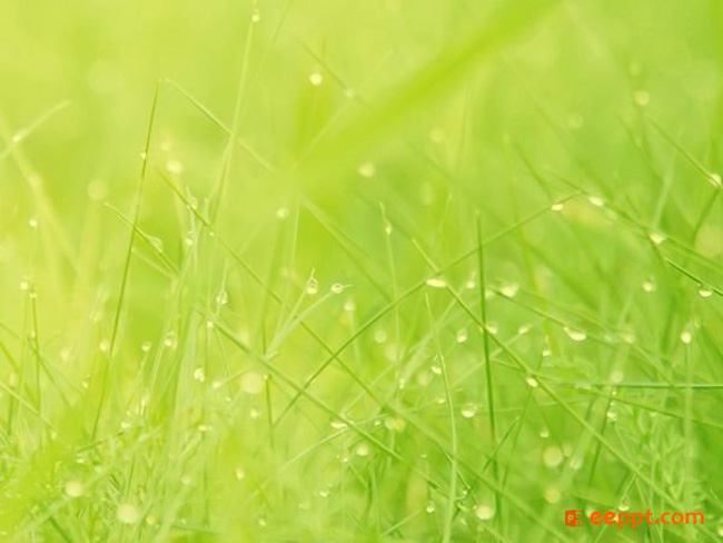 id="gnwq40la25">嫩绿,中国传统色彩名词,是指比较浅,比较清淡的绿色