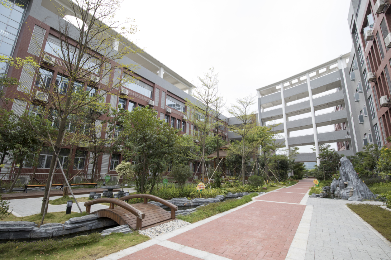 深圳市龙华新区同胜学校