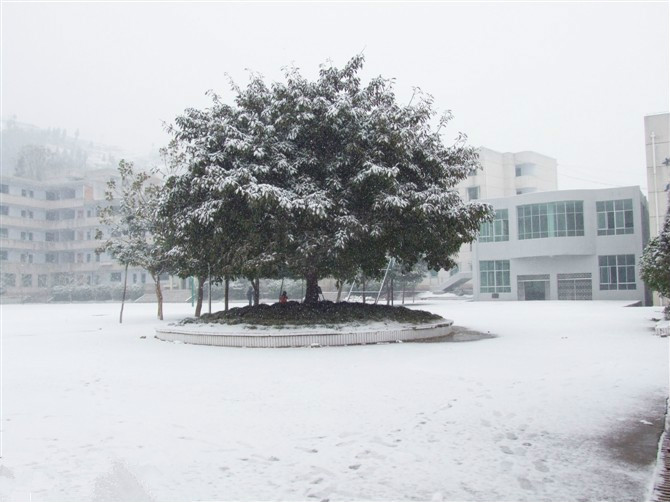 奉节县甲高中学