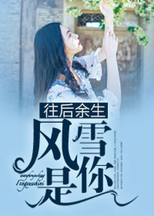 往后余生,风雪是你