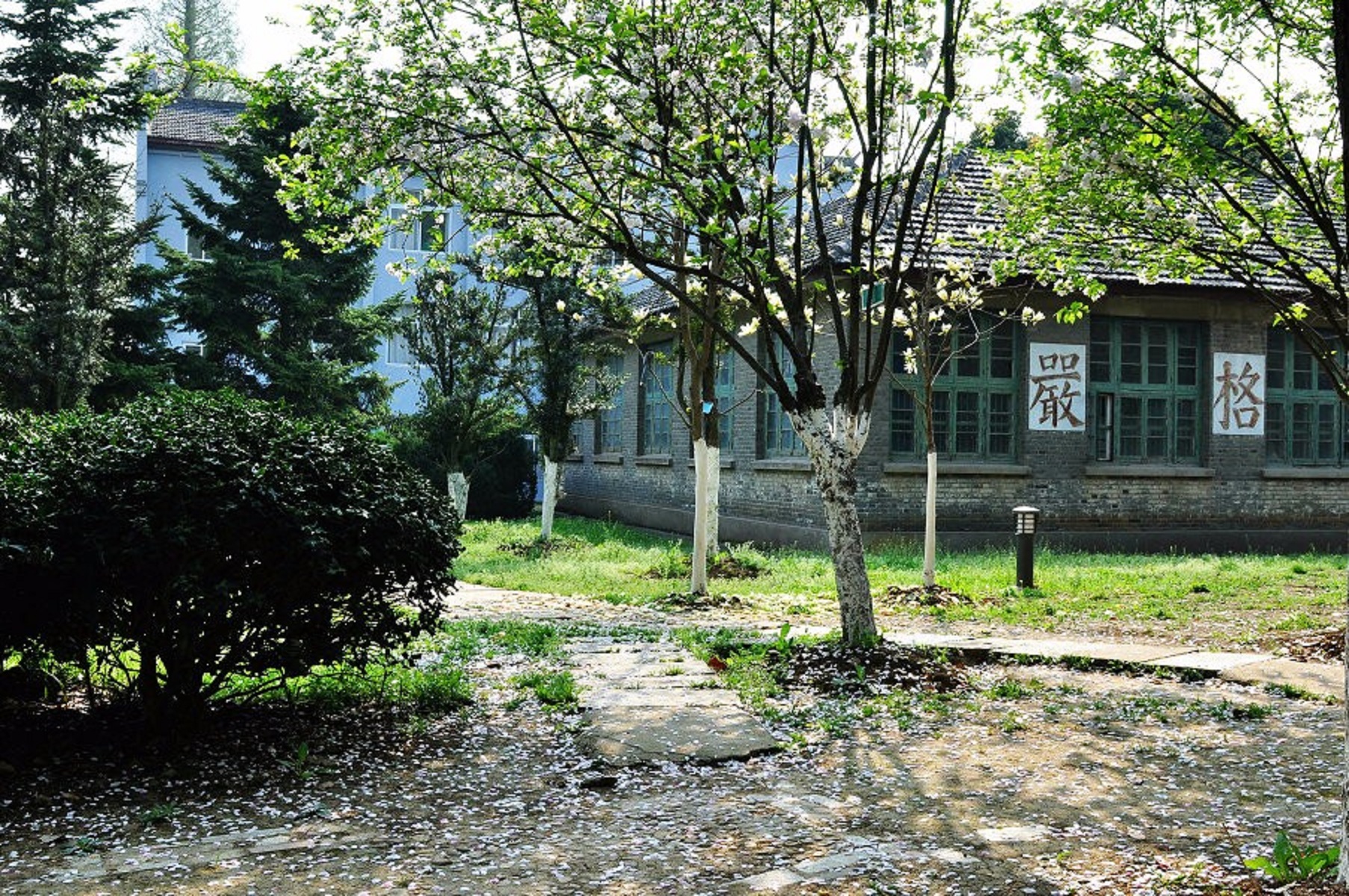 安徽林业技术学院