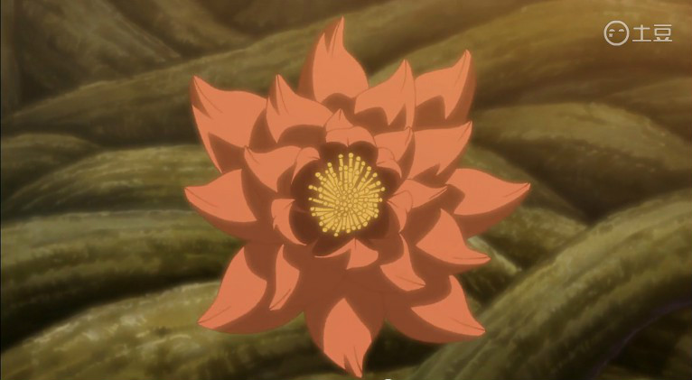 木遁秘术-花树界降临