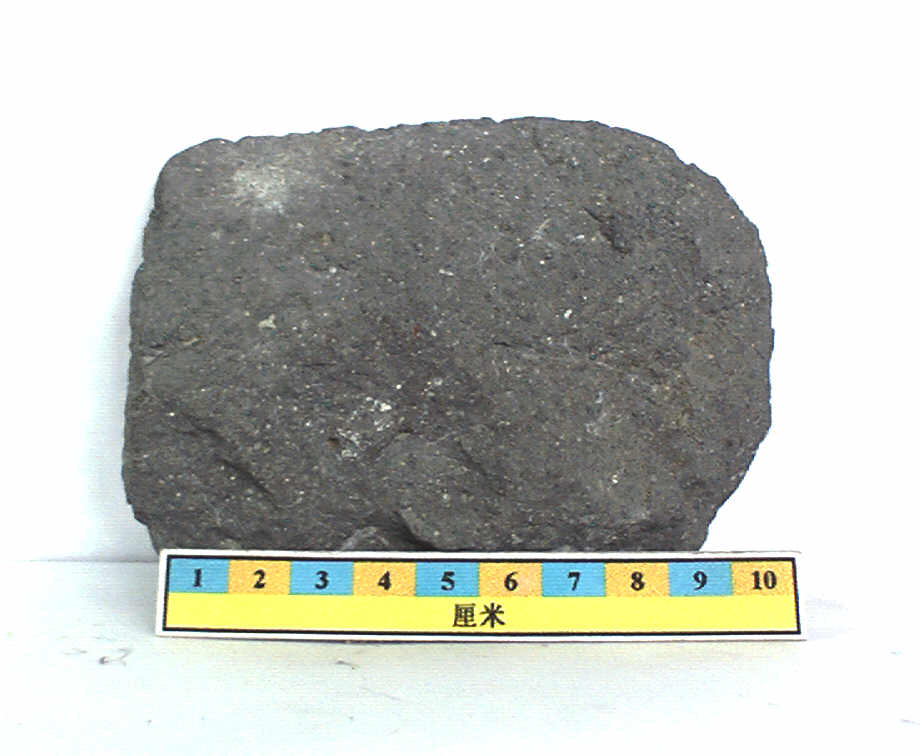  p>假鲕(pseudo olite)是一种无内部构造,由泥晶方解石组成的球状或