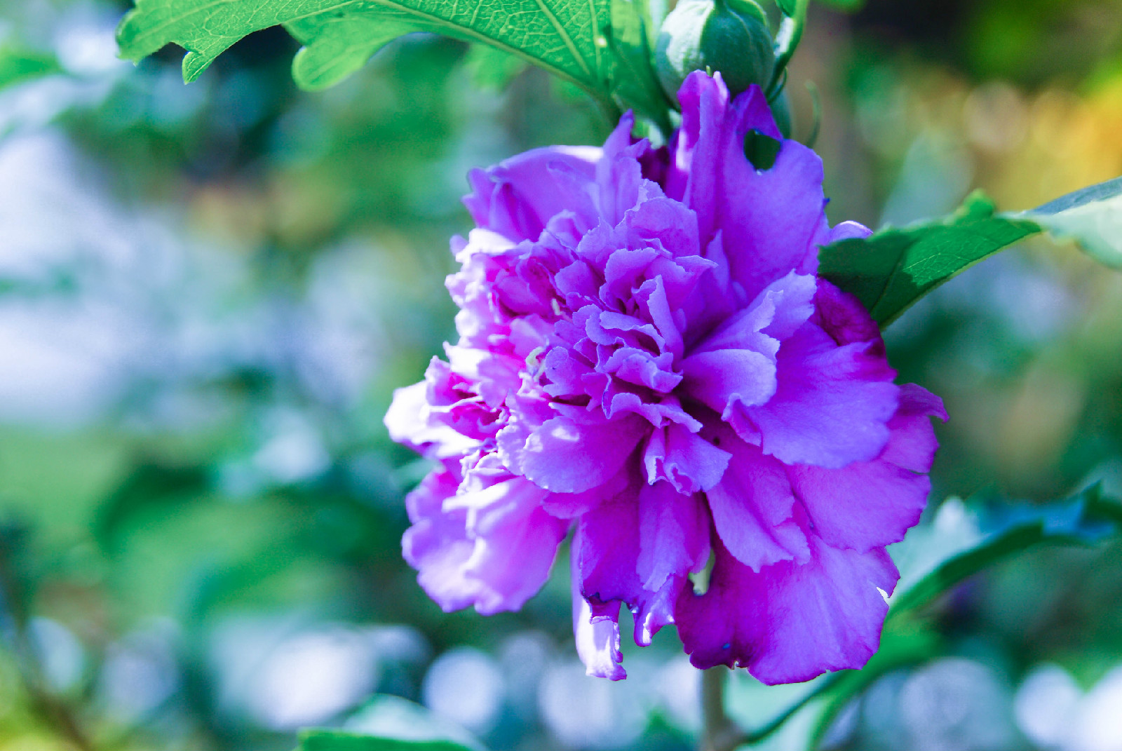 位于赣州市赣县区,创办于1955年,1980年被省政府命名为江西省重点中学