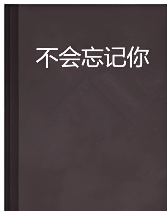 不会忘记你（多部同名小说的统称）_百度百科