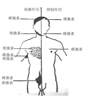 第二性征(secondary sexual characteristics),亦称"副性征",指男女
