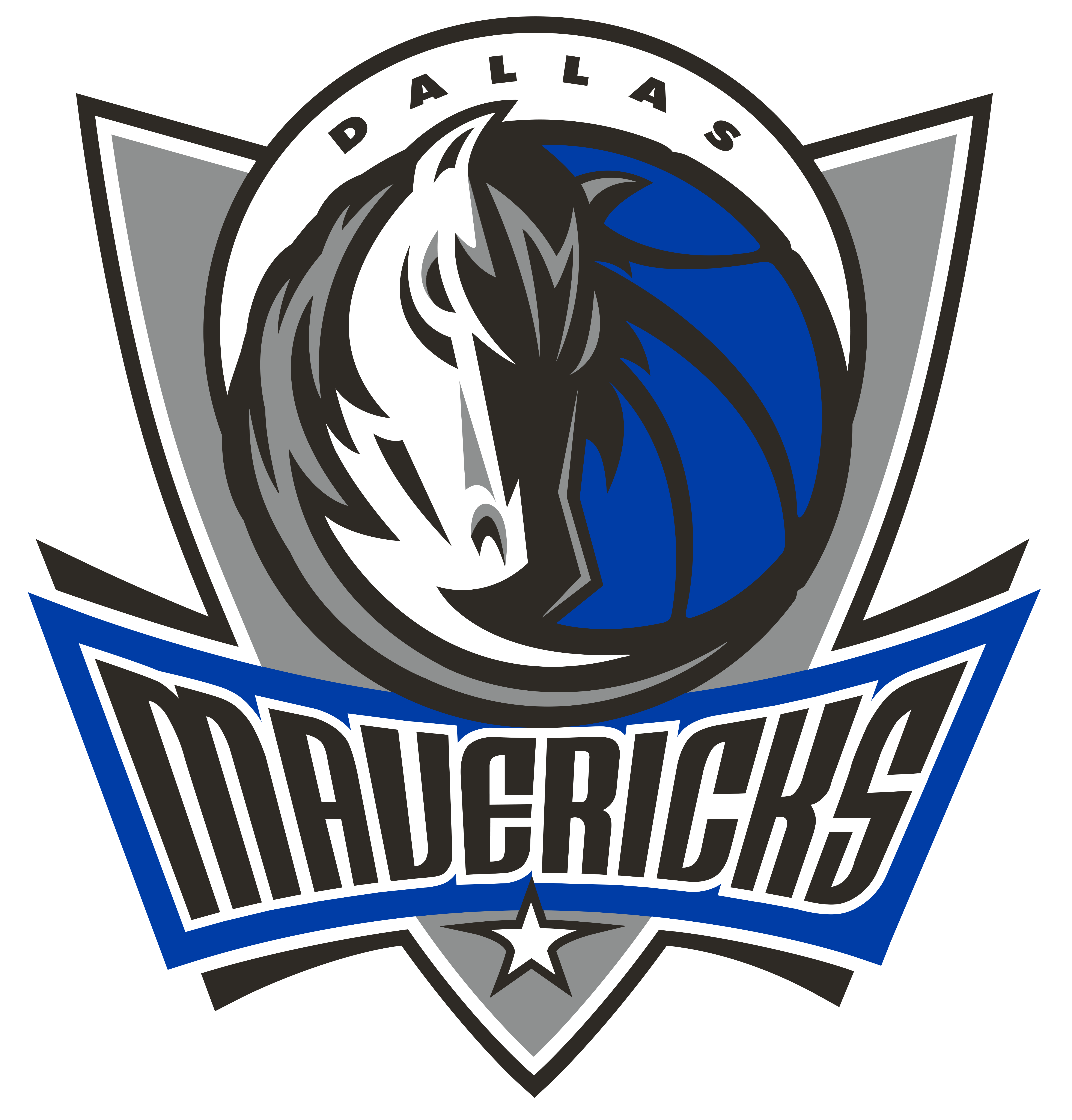 达拉斯独行侠队