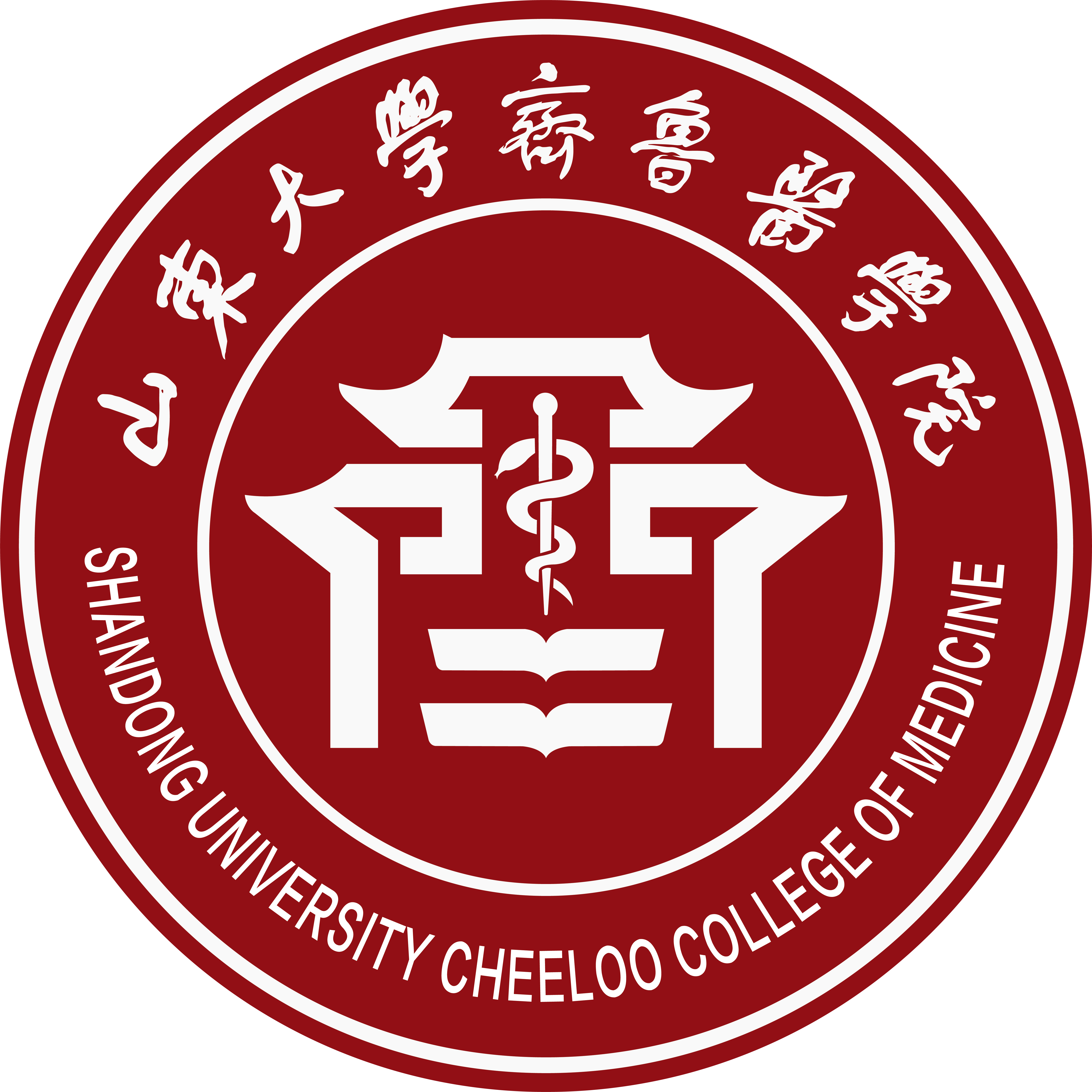 山东大学齐鲁医学院