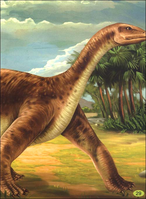 原颌龙(protognathosaurus)