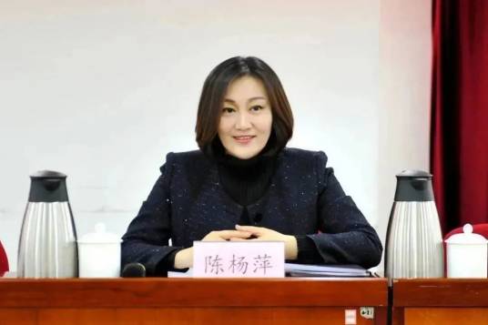 陈杨萍_百度百科