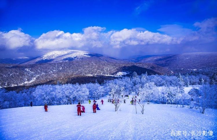 大秃顶子山
