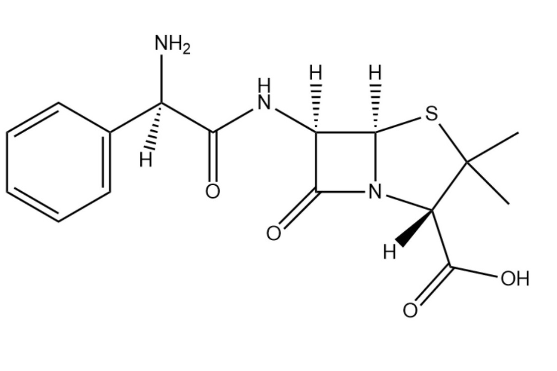 ampicillin