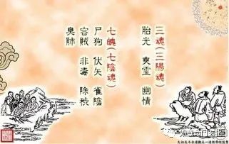 养魄｜三魂七魄到底是什么_百科TA说