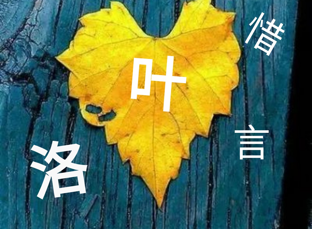 梦洛惜言