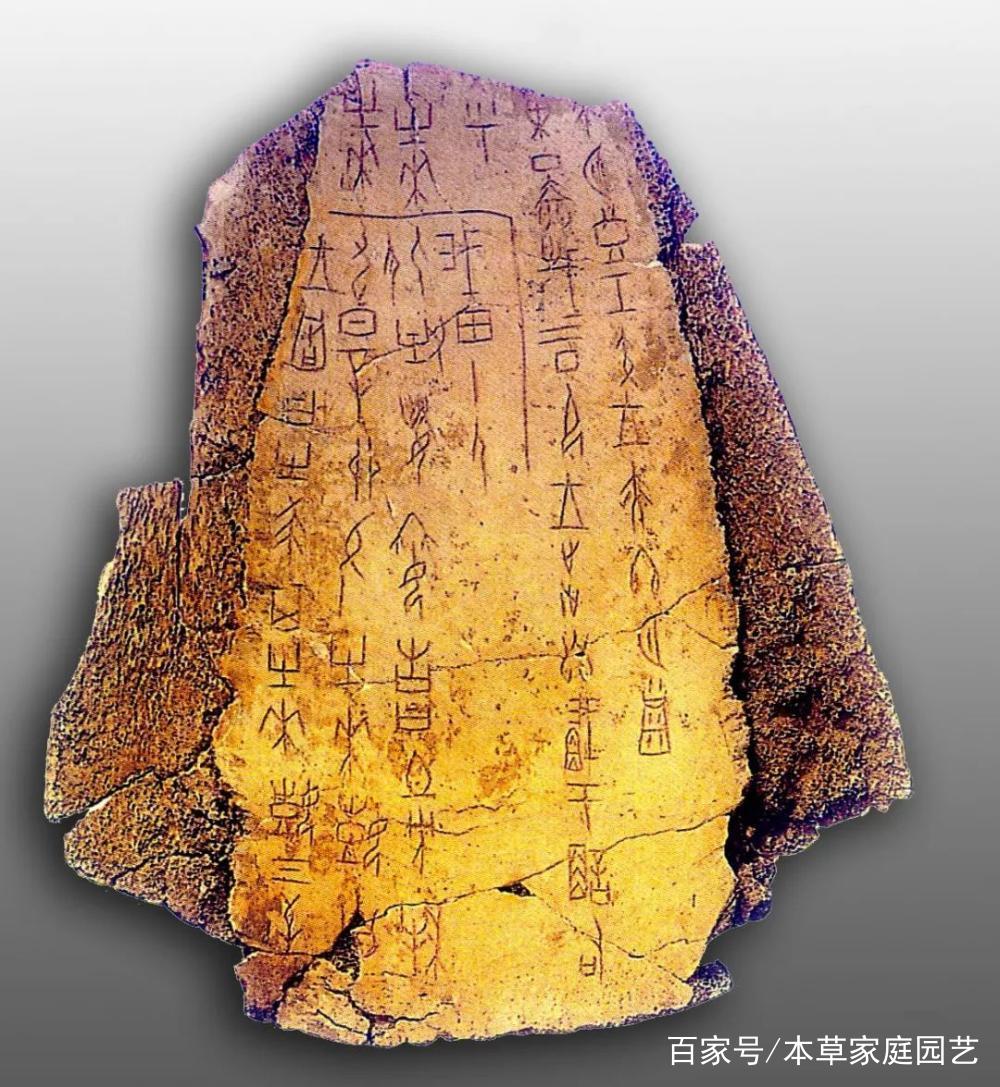 朋友、宝贝以及钱，说的都是一回事_百科TA说