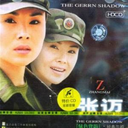 是张迈演唱的一首歌曲,由方土作词,方田作曲,收录于专辑《绿色背影》