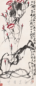 牵牛花
