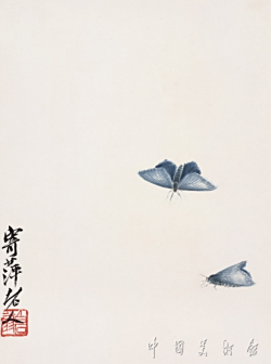 青蛾