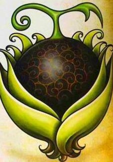  p>影影果实(カゲカゲの実;kage kage nomi)是漫画《 a href="#" data