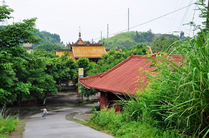 四川省遂宁市大英县