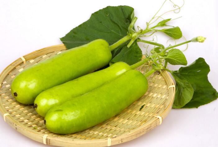  p>瓠瓜,为 a target="_blank" href="/item/葫芦科">葫芦科 /a> a