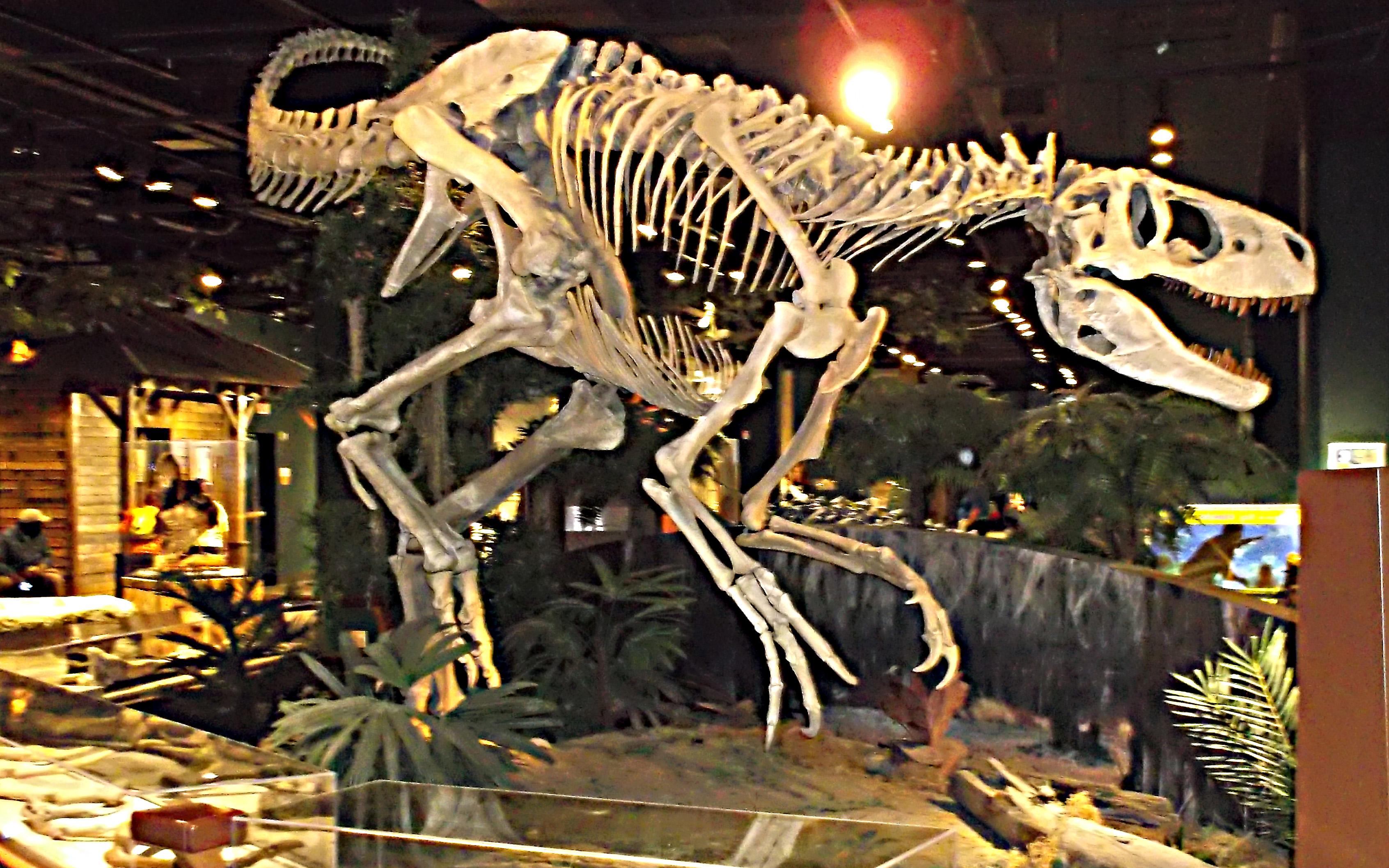  p>阿巴拉契亚龙(学名appalachiosaurus)是北美洲上白垩纪 a href="#"