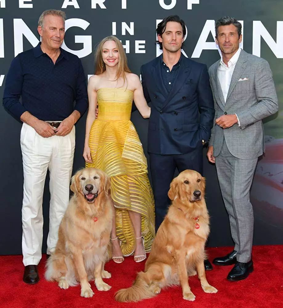 全程泪点！看完这部电影，我决定把狗当做家人_百科TA说