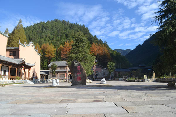 class="ref" data-ctrid="ssgnezlshzkt">百山祖镇,浙江省丽水市庆元