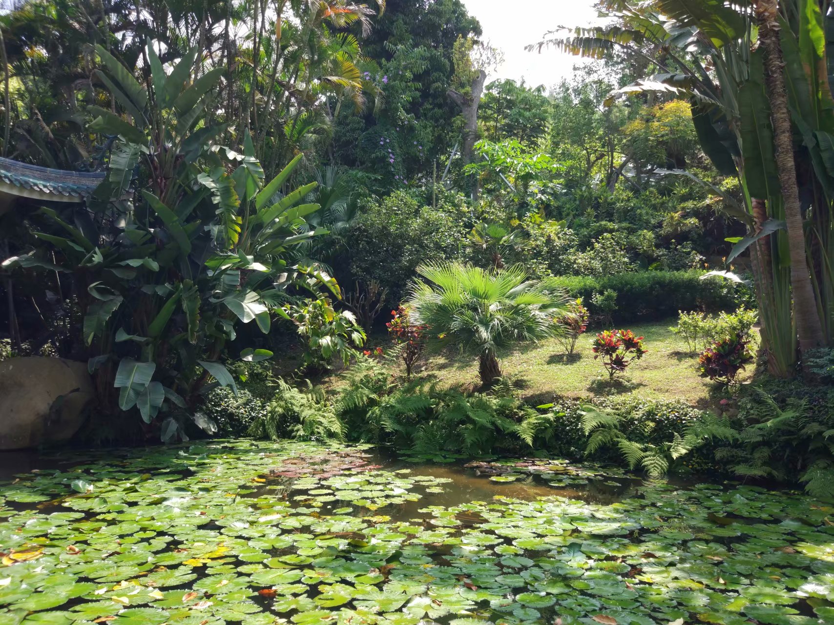  p>厦门园林植物园,俗称"万石植物园",位于福建省 a target="_blank"