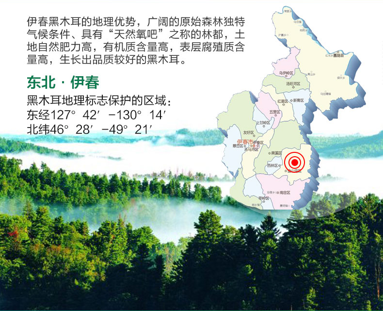 ">伊春市 /a> a target="_blank" href="/item/五营区/5067866" data