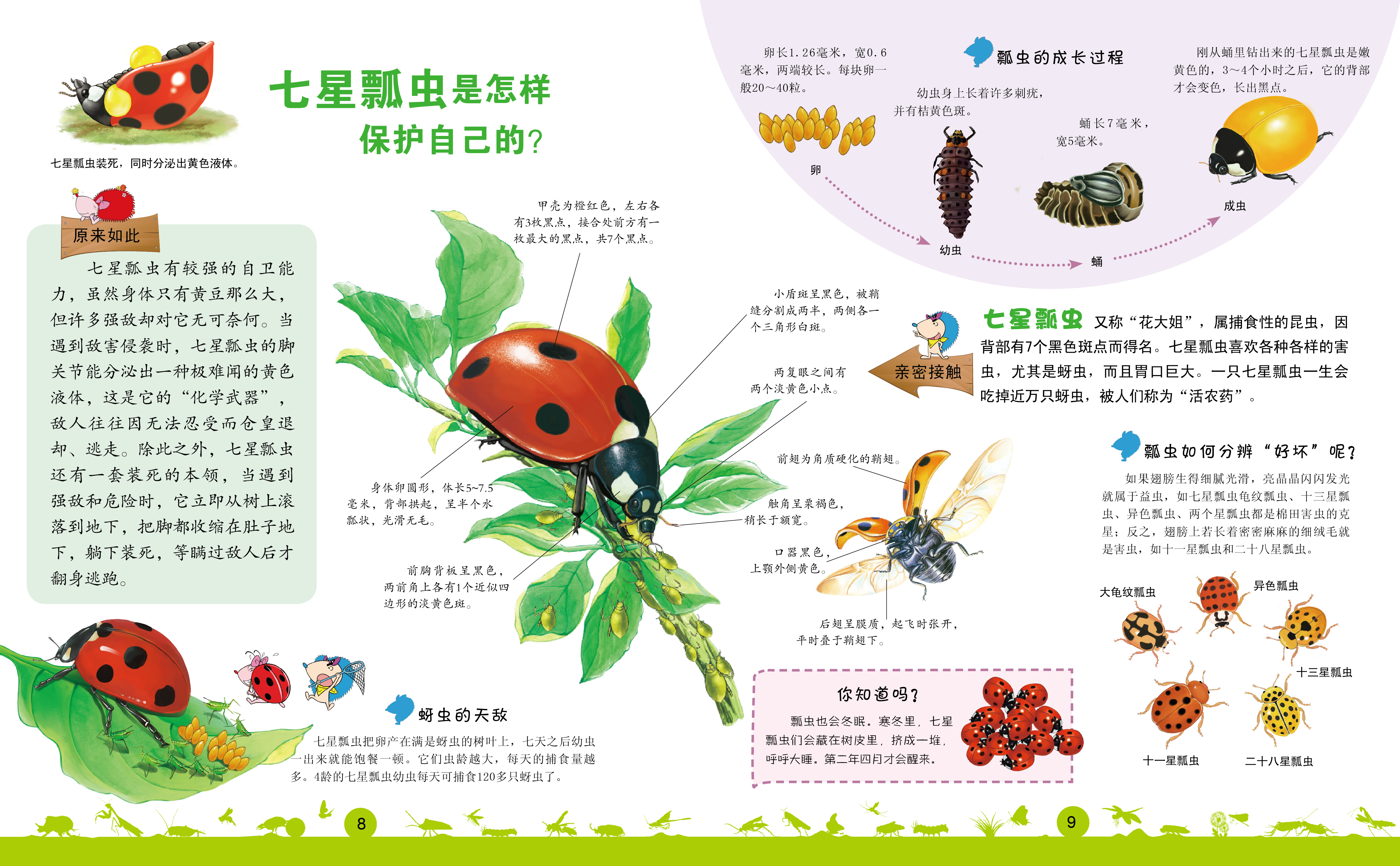 趣味图解动物大百科