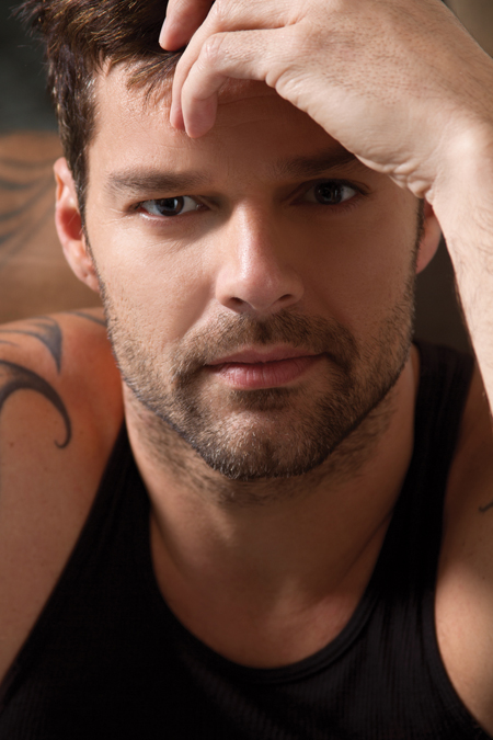  p>瑞奇·马丁(ricky martin),1971年12月24日出生于波多黎各圣胡安