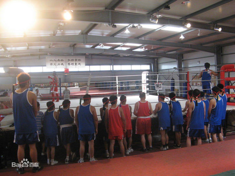 泰拳即泰国的一种古老的拳术,<a target="