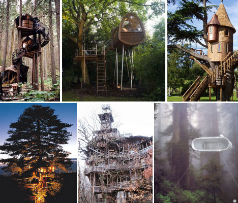 世界第一大树屋
