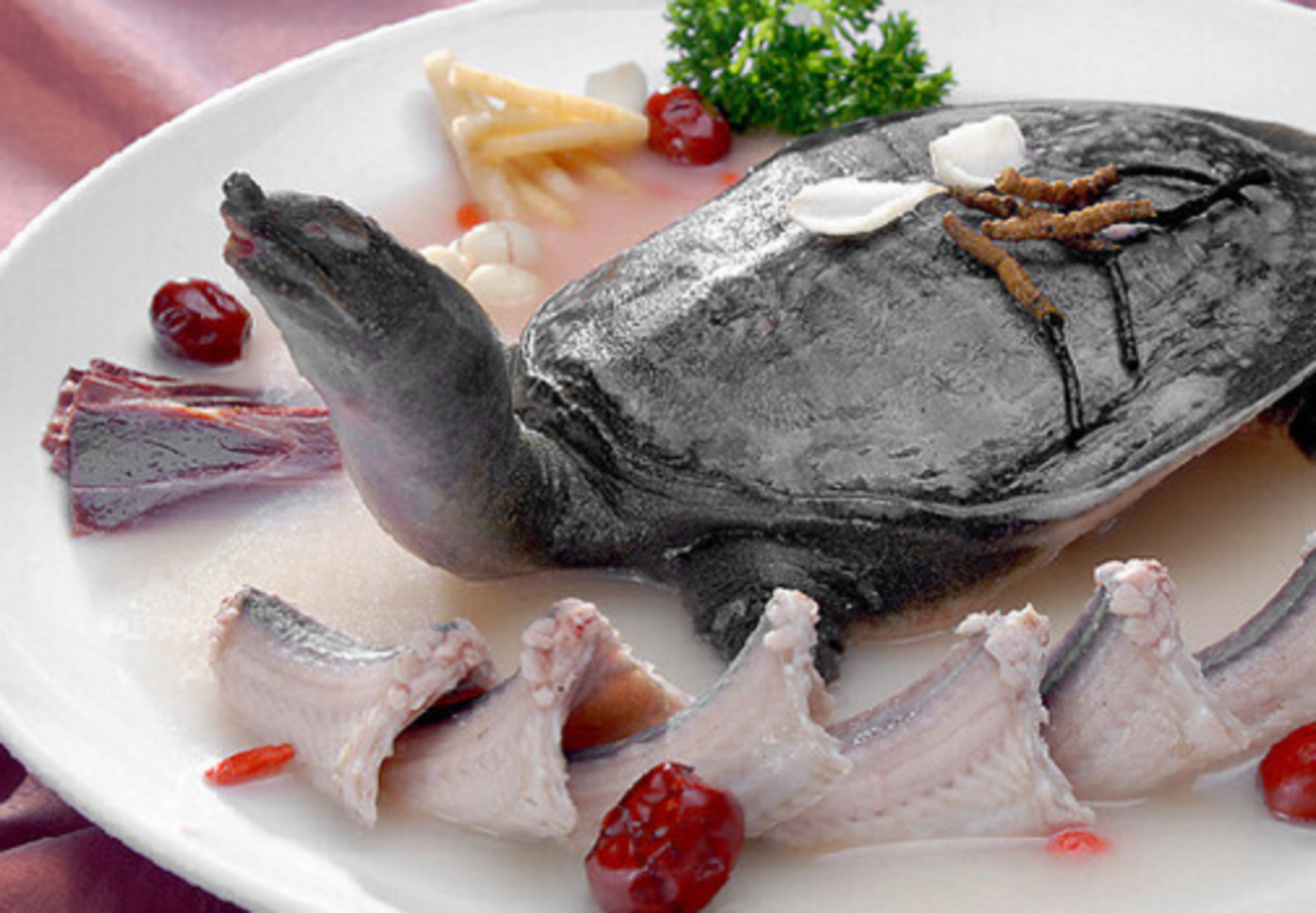 大蒜炖甲鱼