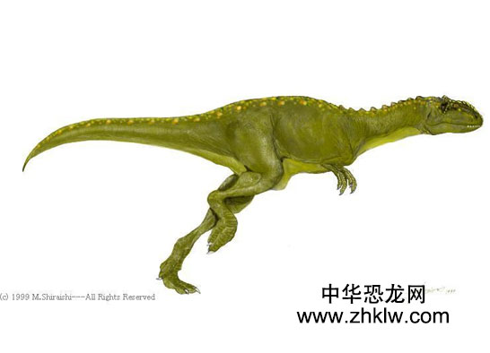 永川龙(yangchuanosaurus)