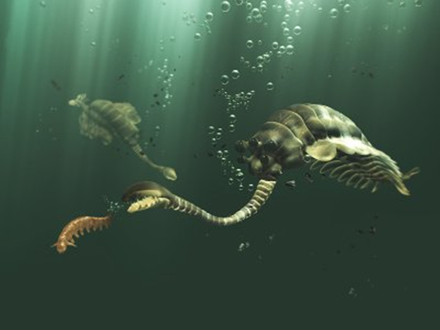  p>欧巴宾海蝎是寒武纪的远古动物.生活于大约5.