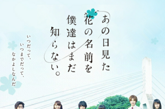 我们仍未知道那天所看见的花的名字真人版