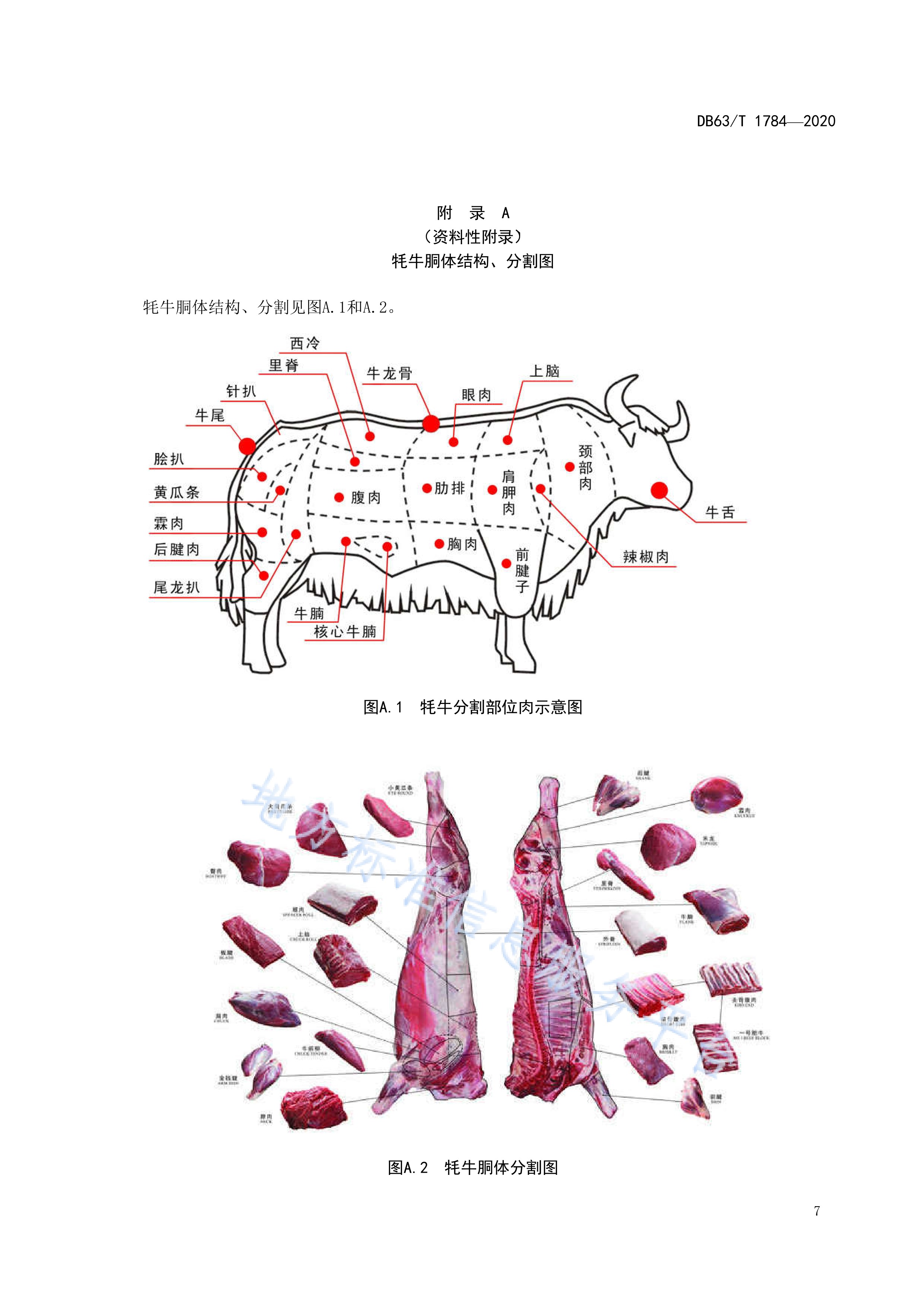  p>《牦牛胴体分割》(db63/t 1784-2020)是2020年7月1日实施的一项