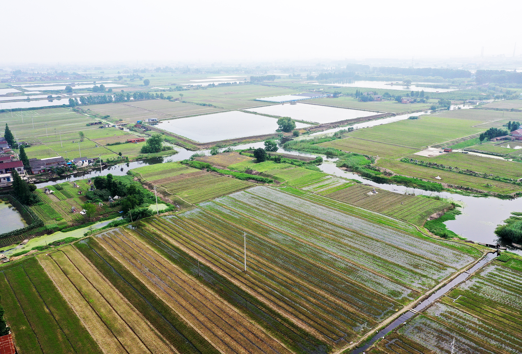  p data-id="gn35frz7em">仙河村位于东台市五烈镇政府南首,美丽传说