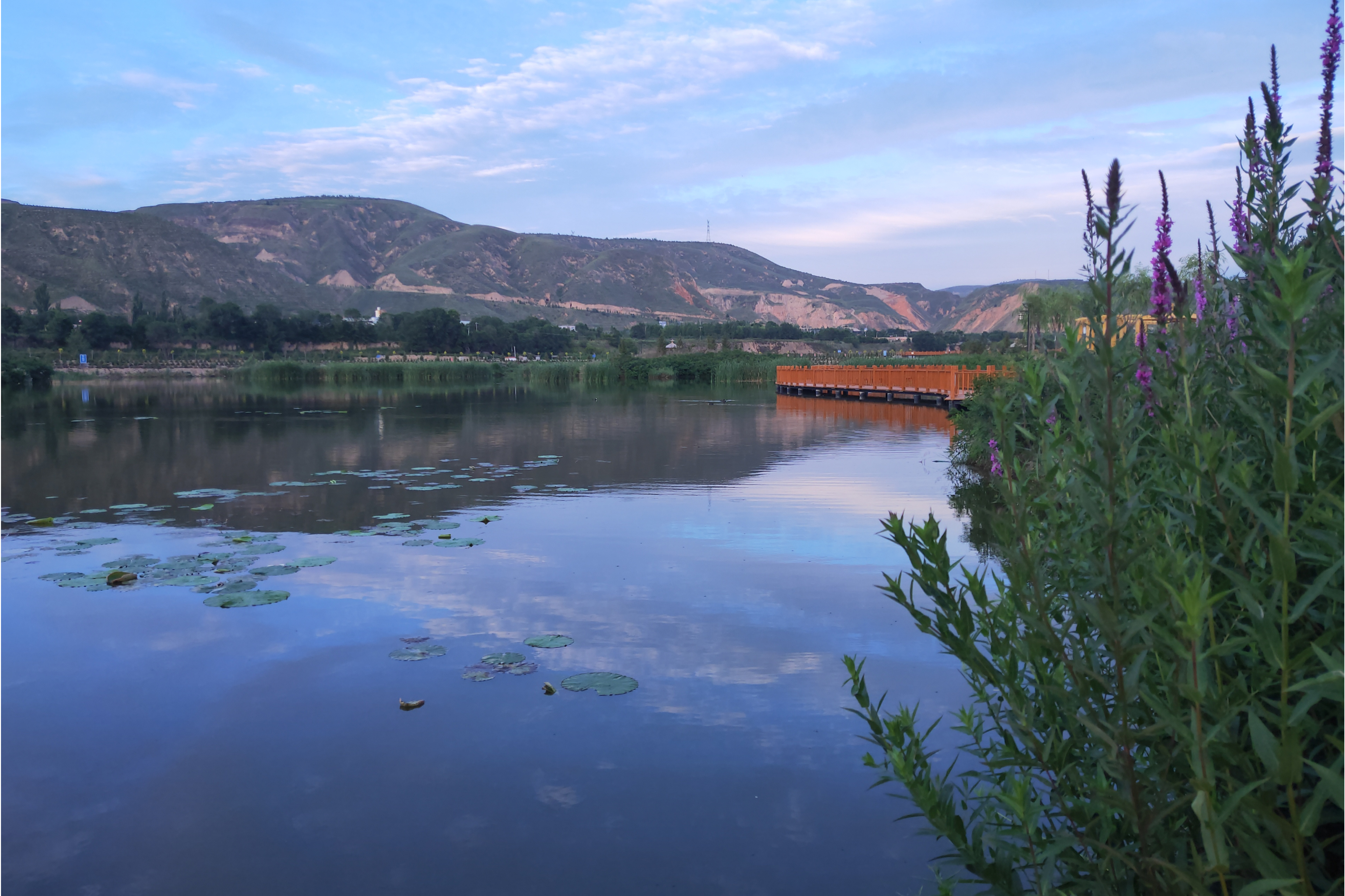 宁夏回族自治区固原市原州区清水河国家重要湿地